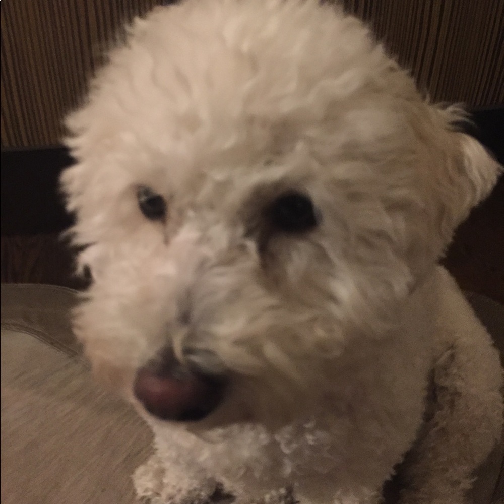 Meet your Posher, Julie